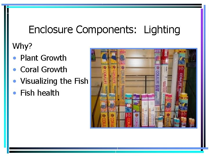 Enclosure Components: Lighting Why? • Plant Growth • Coral Growth • Visualizing the Fish