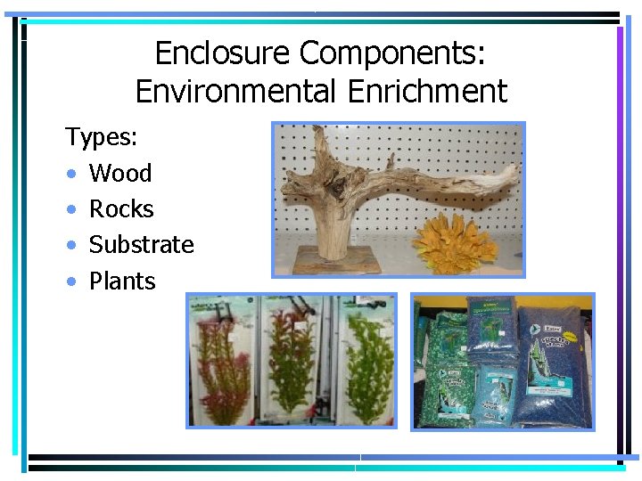Enclosure Components: Environmental Enrichment Types: • Wood • Rocks • Substrate • Plants 
