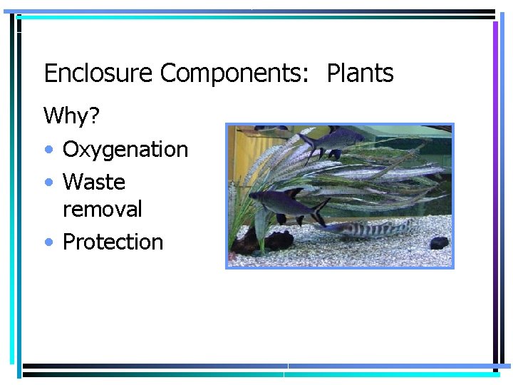 Enclosure Components: Plants Why? • Oxygenation • Waste removal • Protection 