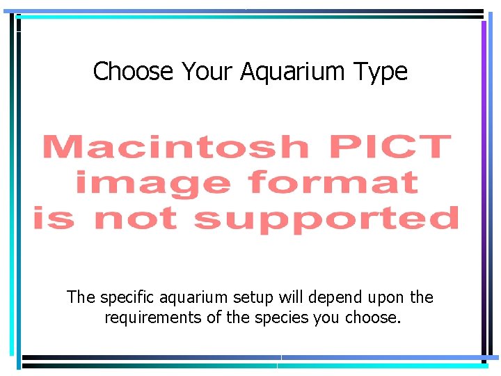 Choose Your Aquarium Type The specific aquarium setup will depend upon the requirements of