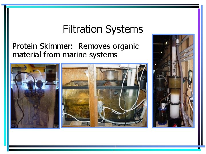 Filtration Systems Protein Skimmer: Removes organic material from marine systems 