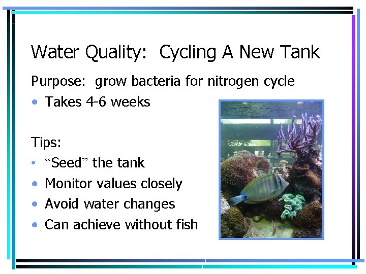 Water Quality: Cycling A New Tank Purpose: grow bacteria for nitrogen cycle • Takes