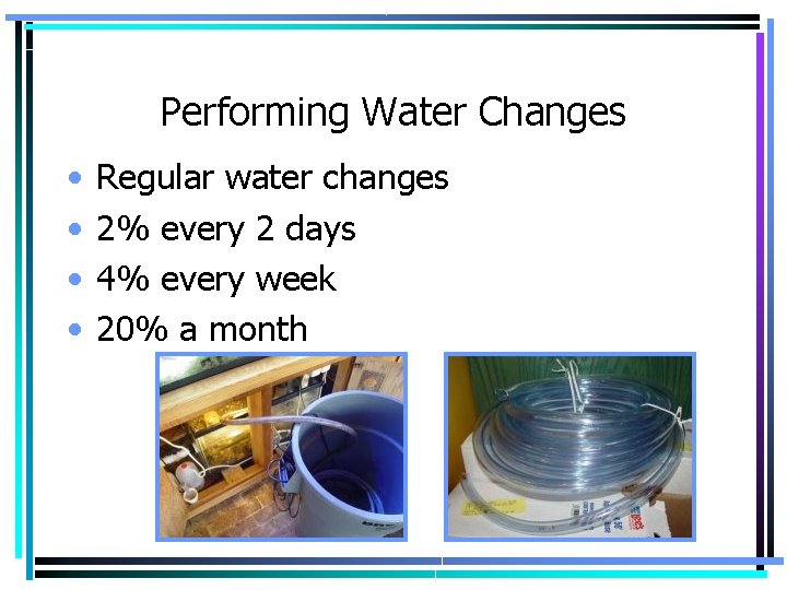 Performing Water Changes • • Regular water changes 2% every 2 days 4% every