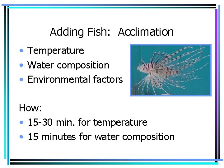 Adding Fish: Acclimation • Temperature • Water composition • Environmental factors How: • 15