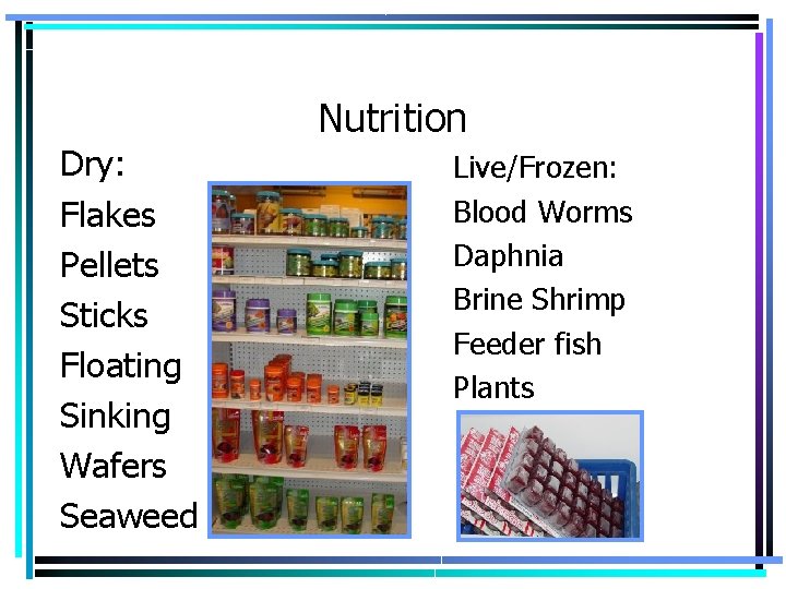 Nutrition Dry: Flakes Pellets Sticks Floating Sinking Wafers Seaweed Live/Frozen: Blood Worms Daphnia Brine