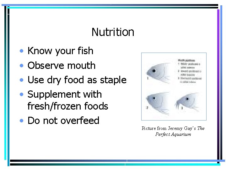 Nutrition • • Know your fish Observe mouth Use dry food as staple Supplement