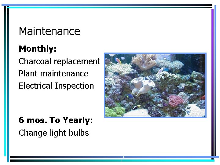 Maintenance Monthly: Charcoal replacement Plant maintenance Electrical Inspection 6 mos. To Yearly: Change light