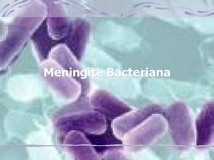 Meningite Bacteriana 