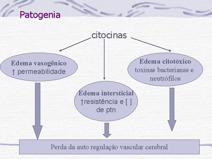 Patogenia citocinas Edema citotóxico toxinas bacterianas e neutrófilos Edema vasogênico ↑ permeabilidade Edema intersticial