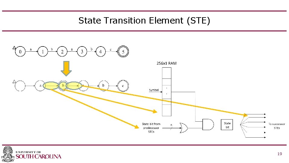 State Transition Element (STE) 19 