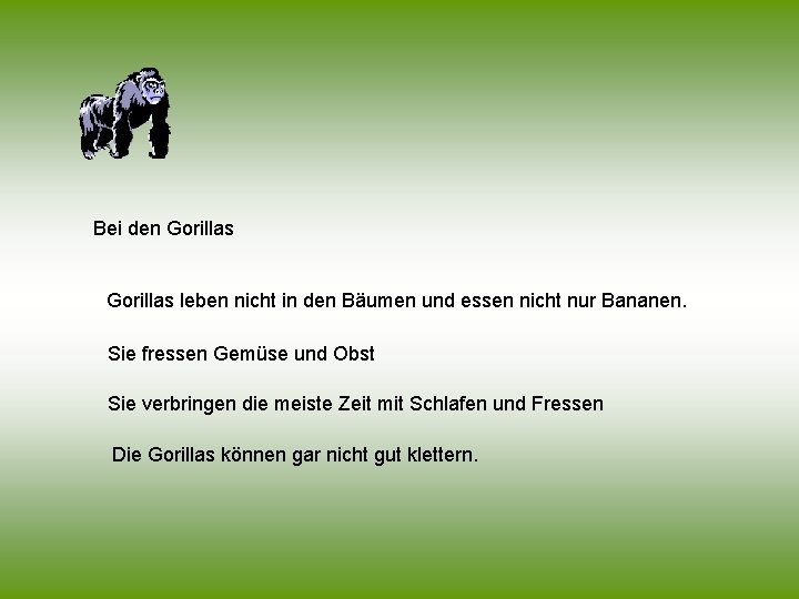 Bei den Gorillas leben nicht in den Bäumen und essen nicht nur Bananen. Sie