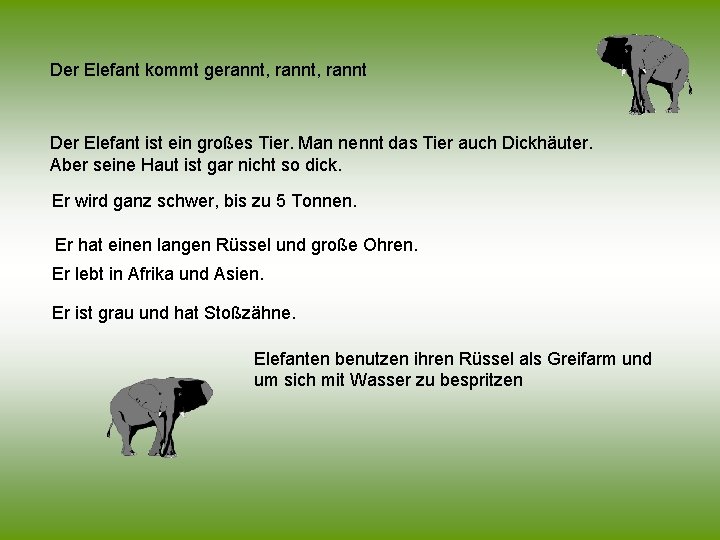 Der Elefant kommt gerannt, rannt Der Elefant ist ein großes Tier. Man nennt das