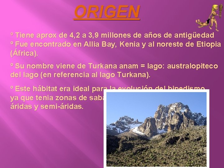 ORIGEN º Tiene aprox de 4, 2 a 3, 9 millones de años de