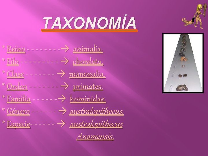 TAXONOMÍA * Reino - - - -→ animalia. * Filo - - - -