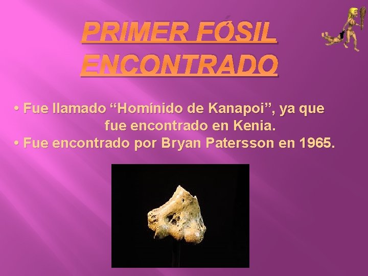 PRIMER FÓSIL ENCONTRADO • Fue llamado “Homínido de Kanapoi”, ya que fue encontrado en
