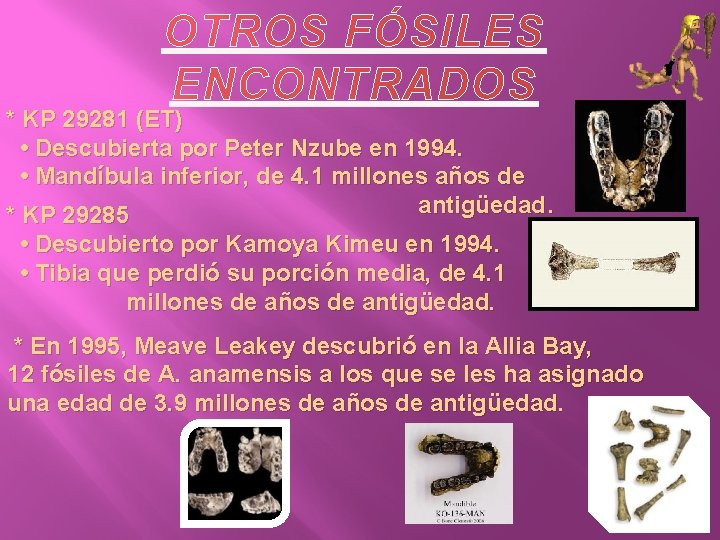 OTROS FÓSILES ENCONTRADOS * KP 29281 (ET) • Descubierta por Peter Nzube en 1994.