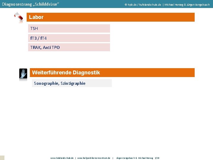 Diagnosestrang „Schilddrüse“ hplz. de / hufelandschule. de | Michael Herzog & Jürgen Sengebusch Labor