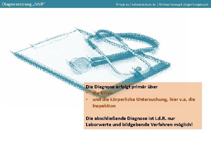 Diagnosestrang „NNR“ hplz. de / hufelandschule. de | Michael Herzog & Jürgen Sengebusch Die