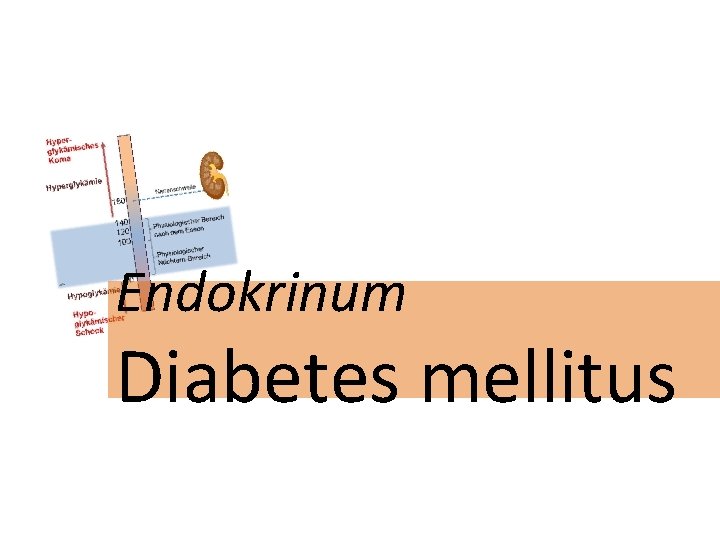 Endokrinum Diabetes mellitus 