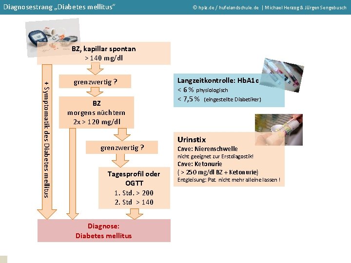 Diagnosestrang Diabeteswerte„Diabetes mellitus“ hplz. de / hufelandschule. de | Michael Herzog & Jürgen Sengebusch