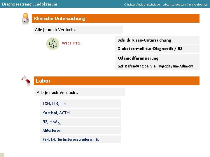 Diagnosestrang „Endokrinum“ hplz. de / hufelandschule. de | Jürgen Sengebusch & Michael Herzog Klinische