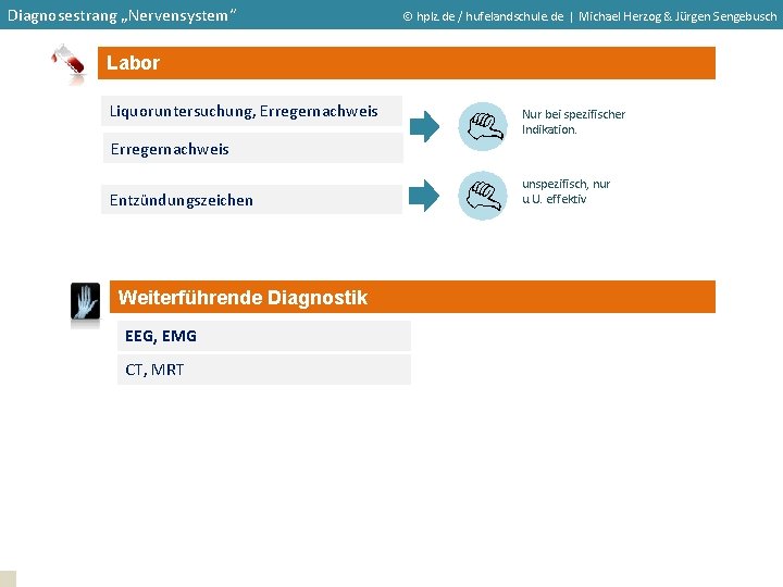 Diagnosestrang „Nervensystem“ hplz. de / hufelandschule. de | Michael Herzog & Jürgen Sengebusch Labor