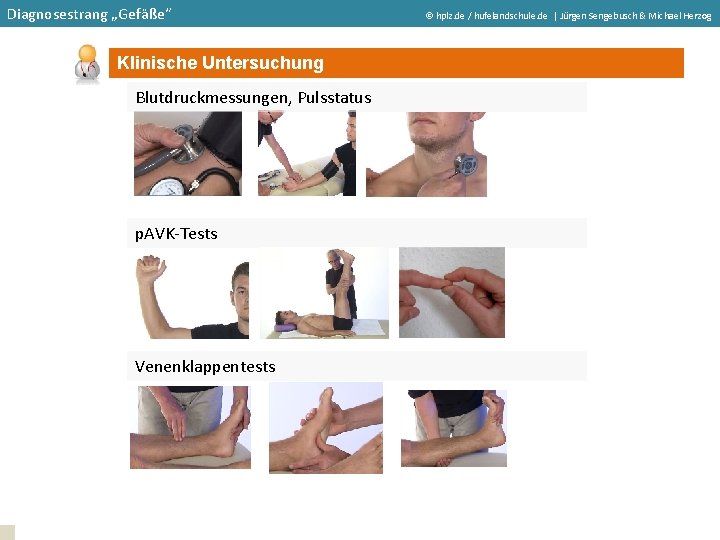 Diagnosestrang „Gefäße“ Klinische Untersuchung Blutdruckmessungen, Pulsstatus p. AVK-Tests Venenklappentests hplz. de / hufelandschule. de