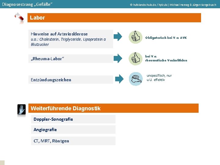 Diagnosestrang „Gefäße“ hufelandschule. de / hplz. de| Michael Herzog & Jürgen Sengebusch Labor „Rheuma-Labor“