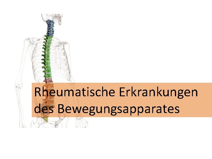 Rheumatische Erkrankungen des Bewegungsapparates 