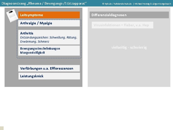 Diagnosestrang „Rheuma / Bewegungs-/Stützapparat“ Leitsymptome Arthralgie / Myalgie hplz. de / hufelandschule. de |