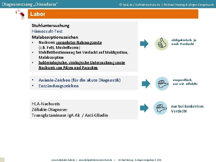 Diagnosestrang „Dünndarm“ hplz. de / hufelandschule. de | Michael Herzog & Jürgen Sengebusch Labor