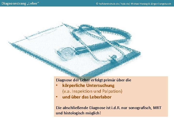 Diagnosestrang „Leber“ hufelandschule. de / hplz. de| Michael Herzog & Jürgen Sengebusch Diagnose der