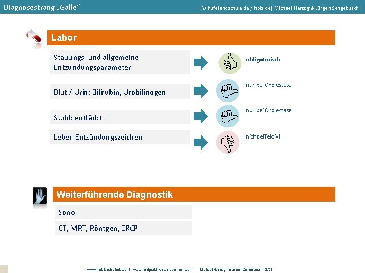 Diagnosestrang „Galle“ hufelandschule. de / hplz. de| Michael Herzog & Jürgen Sengebusch Labor Stuhl: