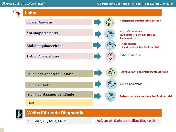 Diagnosestrang „Pankreas“ hufelandschule. de / hplz. de| Michael Herzog & Jürgen Sengebusch Labor Entzündungszeichen