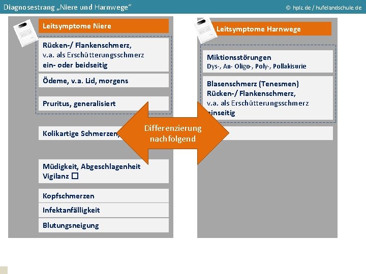 Diagnosestrang „Niere und Harnwege“ hplz. de / hufelandschule. de Leitsymptome Niere Leitsymptome Harnwege Rücken-/