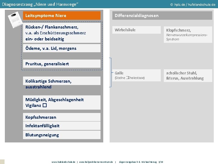 Diagnosestrang „Niere und Harnwege“ Leitsymptome Niere Rücken-/ Flankenschmerz, v. a. als Erschütterungsschmerz ein- oder