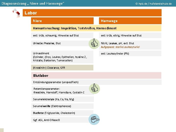 Diagnosestrang „ Niere und Harnwege“ hplz. de / hufelandschule. de Labor Niere Harnwege Harnuntersuchung:
