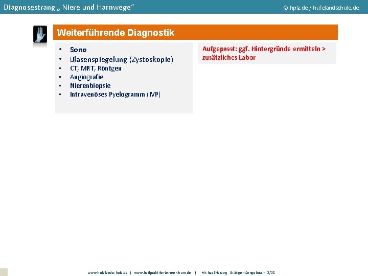 Diagnosestrang „ Niere und Harnwege“ hplz. de / hufelandschule. de Weiterführende Diagnostik • Sono