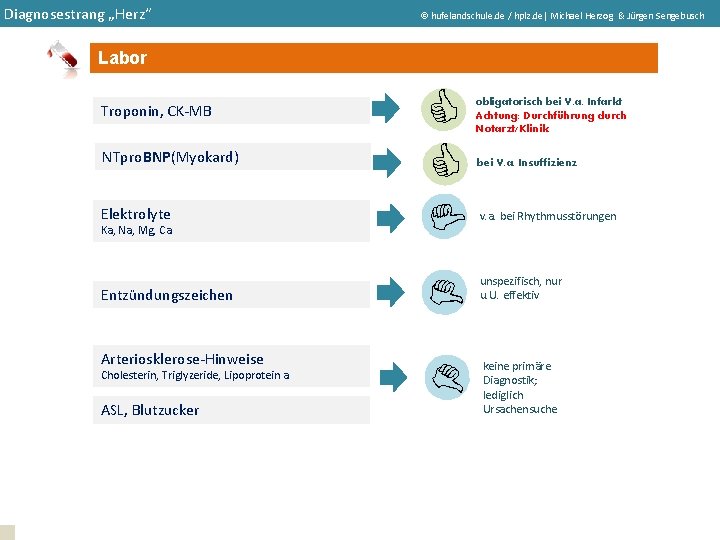 Diagnosestrang „Herz“ hufelandschule. de / hplz. de| Michael Herzog & Jürgen Sengebusch Labor Elektrolyte