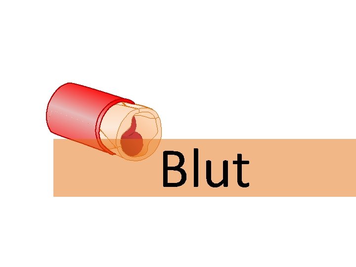 Blut 