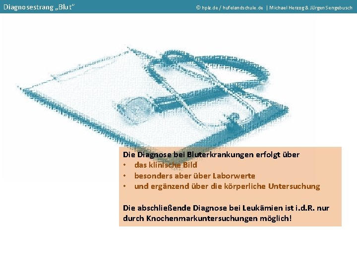 Diagnosestrang „Blut“ hplz. de / hufelandschule. de | Michael Herzog & Jürgen Sengebusch Die