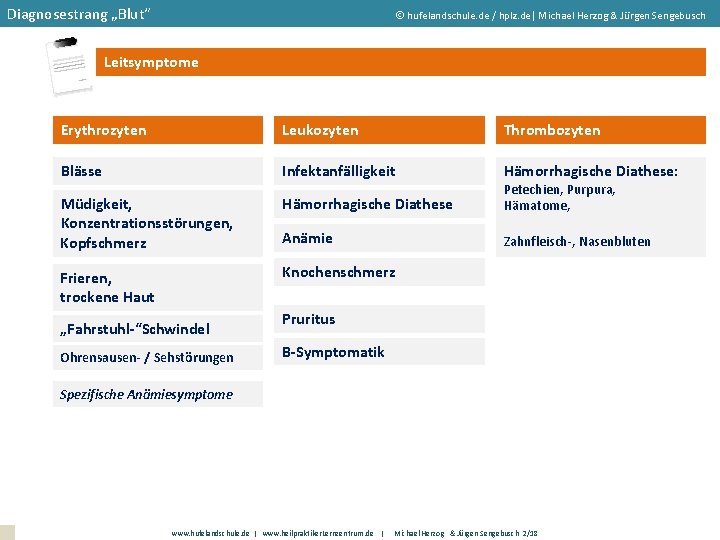 Diagnosestrang „Blut“ hufelandschule. de / hplz. de| Michael Herzog & Jürgen Sengebusch Leitsymptome Erythrozyten