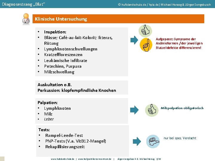 Diagnosestrang „Blut“ hufelandschule. de / hplz. de| Michael Herzog & Jürgen Sengebusch Klinische Untersuchung