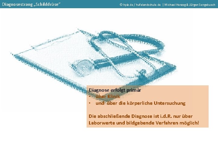 Diagnosestrang „Schilddrüse“ hplz. de / hufelandschule. de | Michael Herzog & Jürgen Sengebusch Diagnose