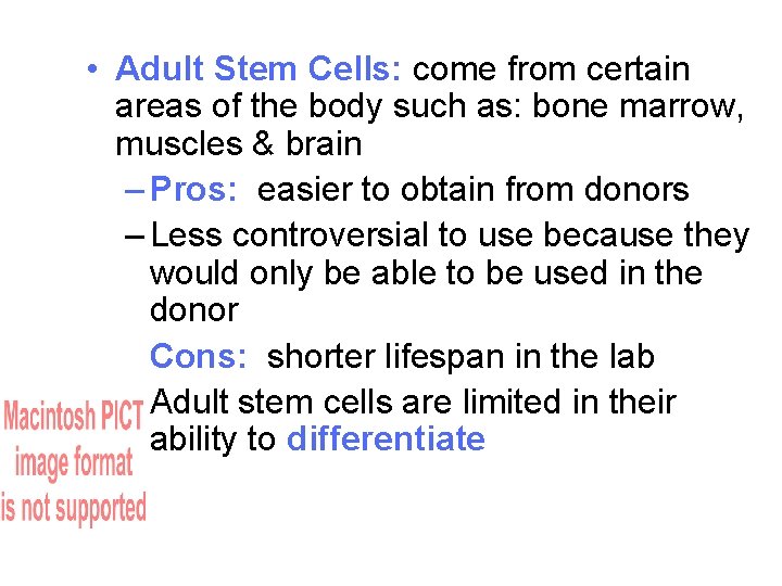  • Adult Stem Cells: come from certain areas of the body such as: