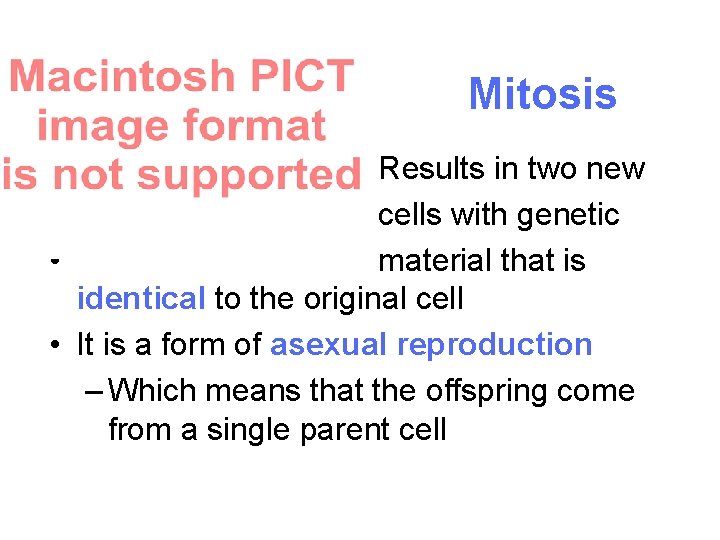 Mitosis • • • Results in two new cells with genetic material that is