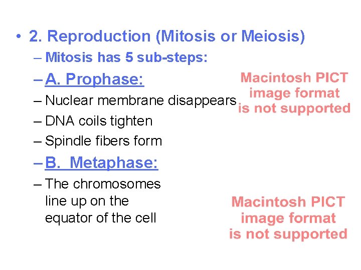  • 2. Reproduction (Mitosis or Meiosis) – Mitosis has 5 sub-steps: – A.