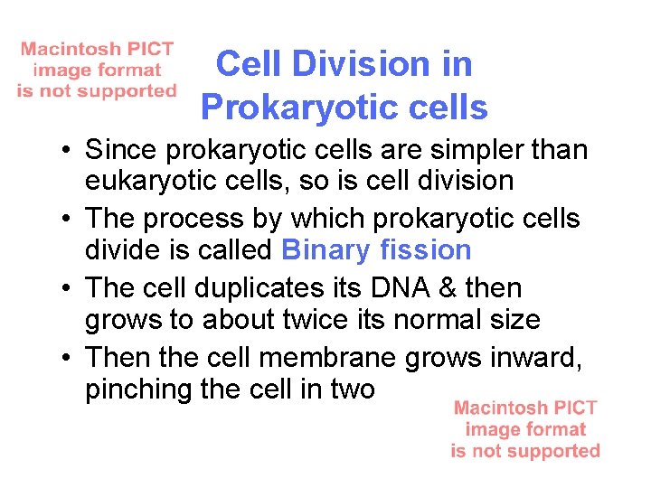 Cell Division in Prokaryotic cells • Since prokaryotic cells are simpler than eukaryotic cells,