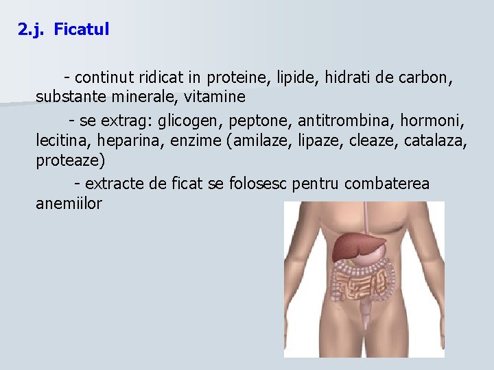 2. j. Ficatul - continut ridicat in proteine, lipide, hidrati de carbon, substante minerale,