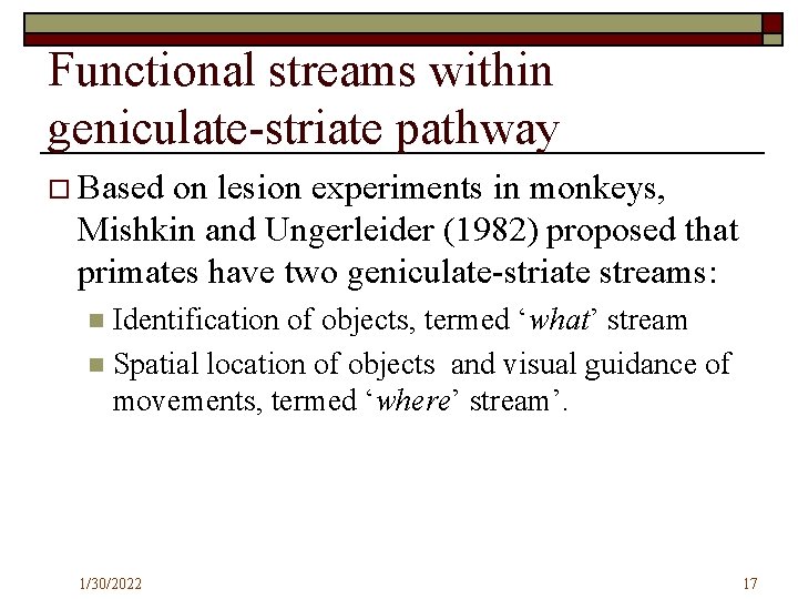 Functional streams within geniculate-striate pathway o Based on lesion experiments in monkeys, Mishkin and